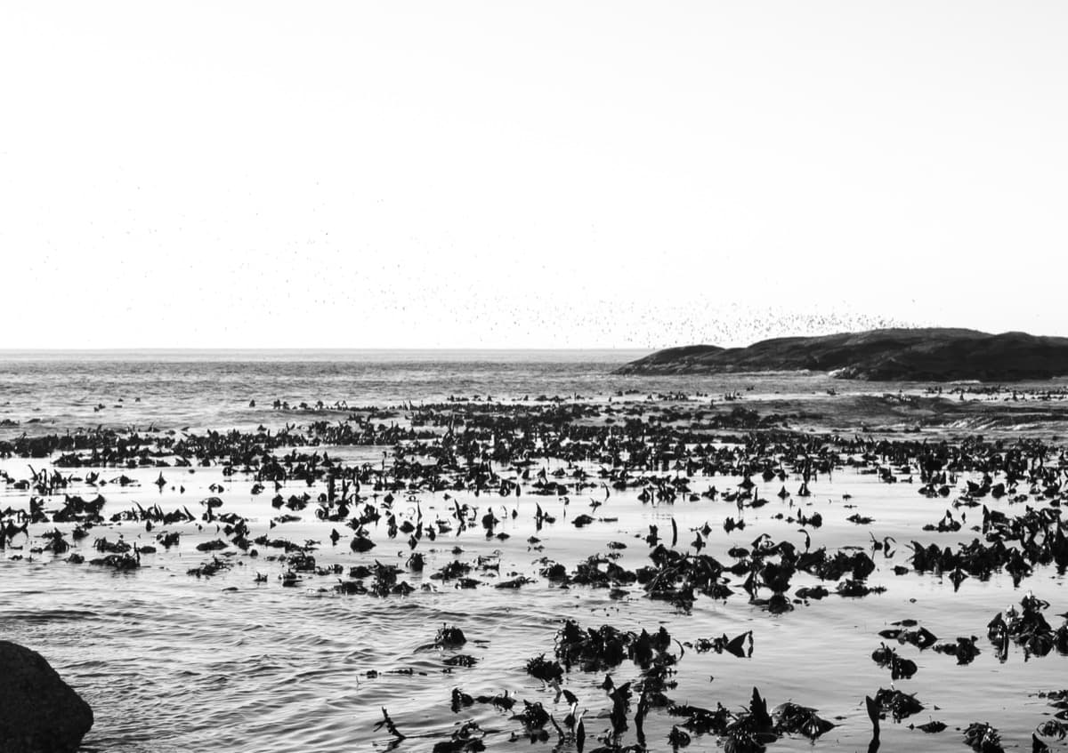 Cape Town - Image 2