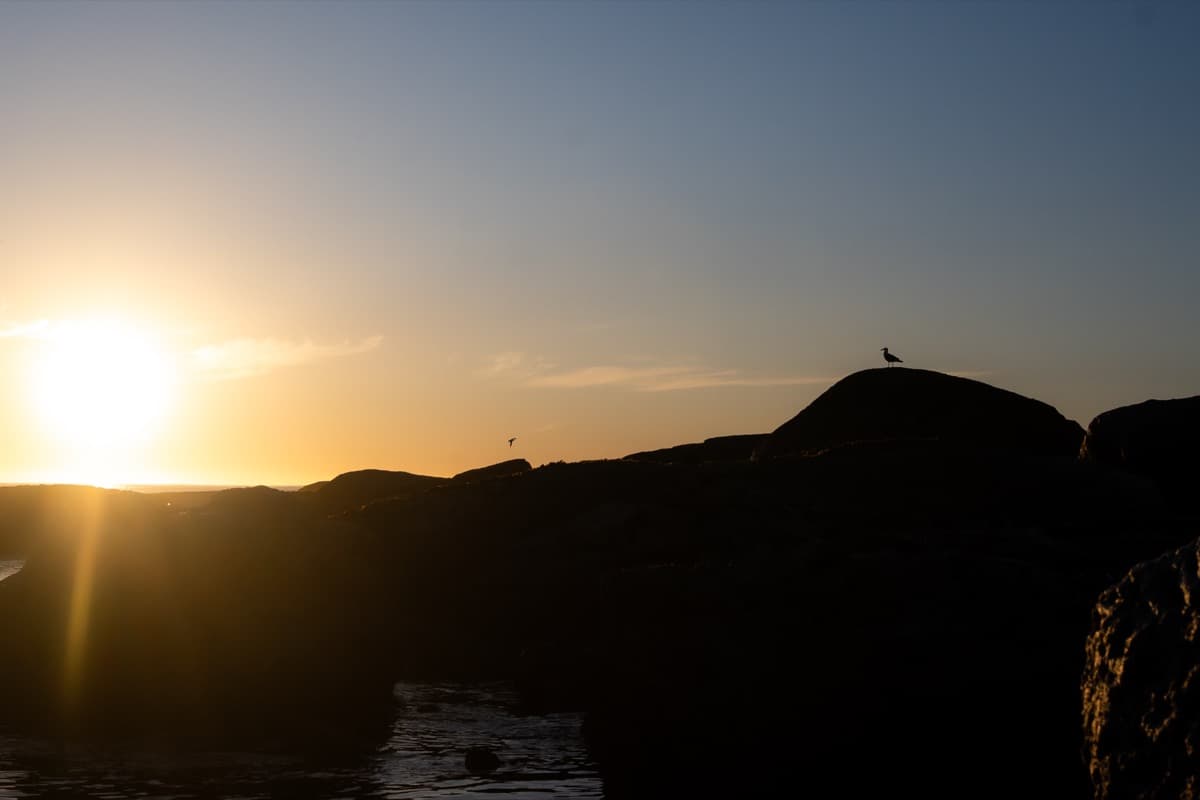 Cape Town - Image 4