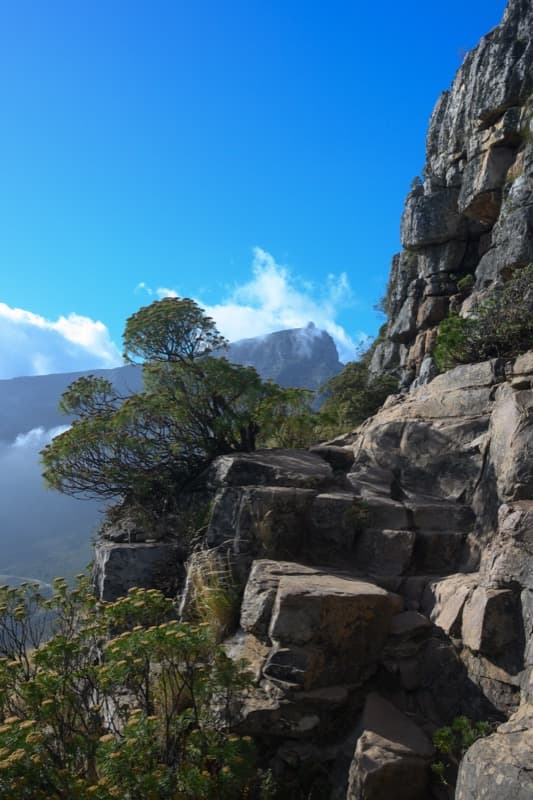 Cape Town - Image 11
