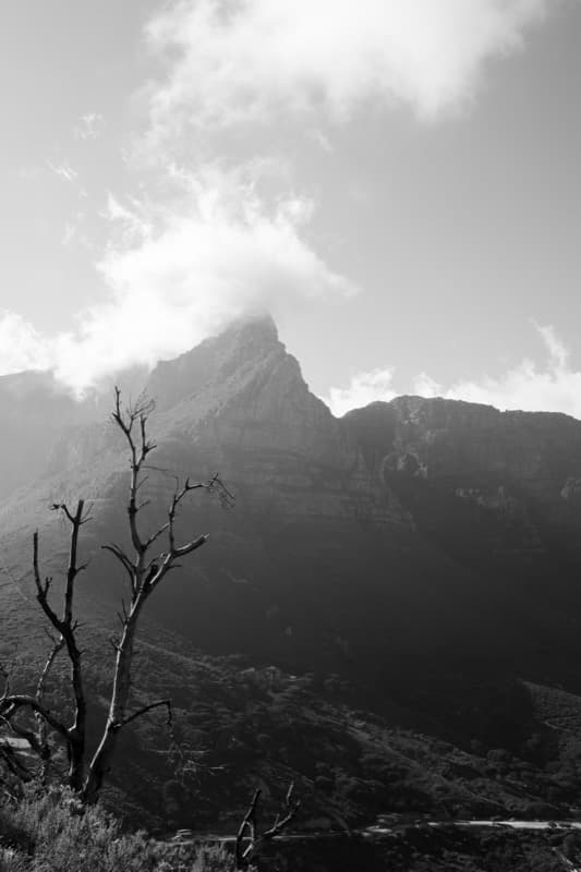 Cape Town - Image 13