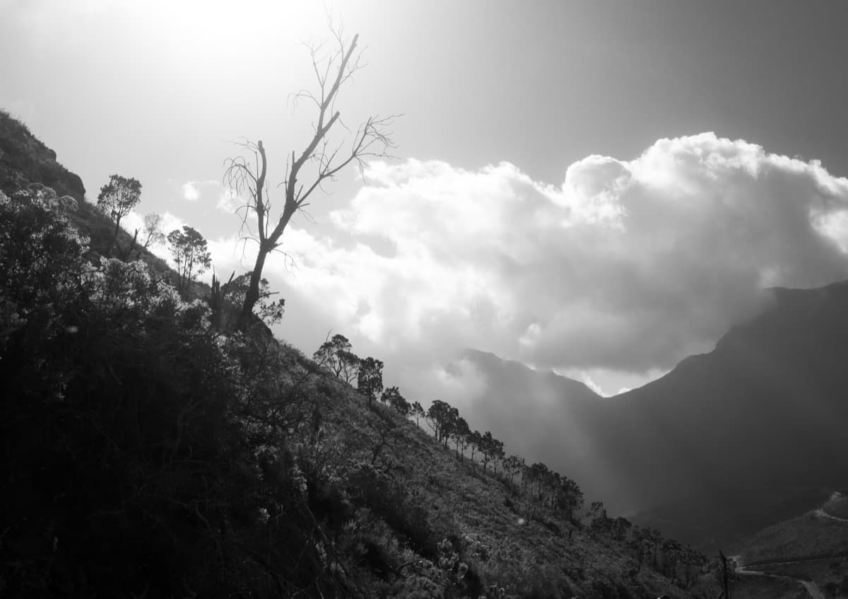 Cape Town - Image 14