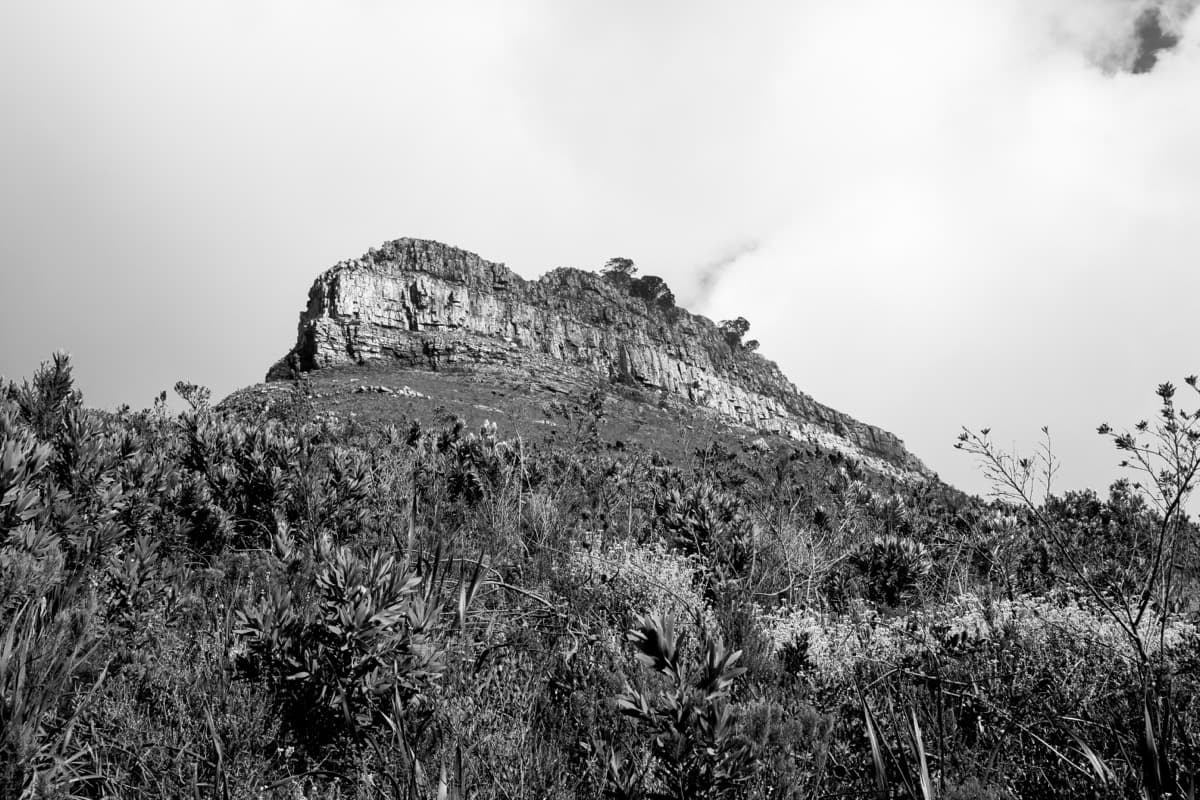 Cape Town - Image 16