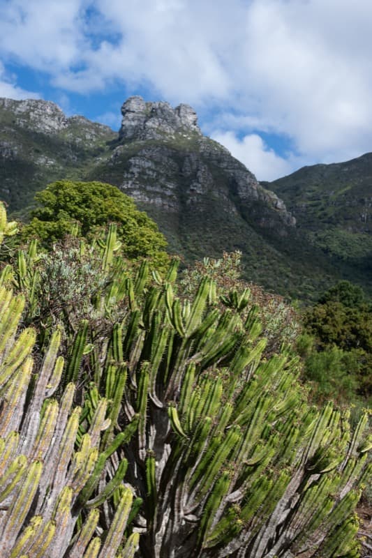 Cape Town - Image 18