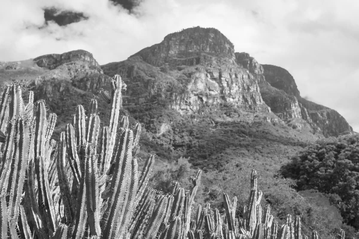 Cape Town - Image 19