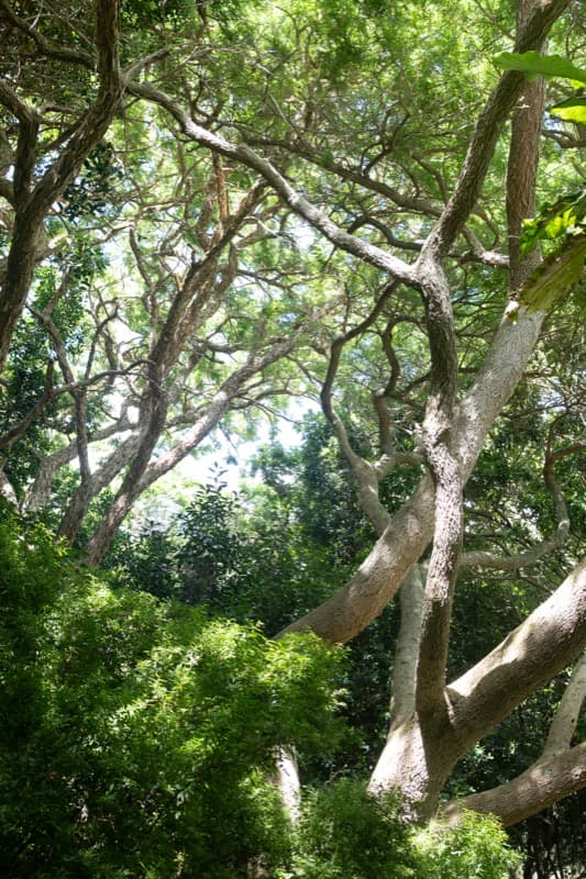 Cape Town - Image 21