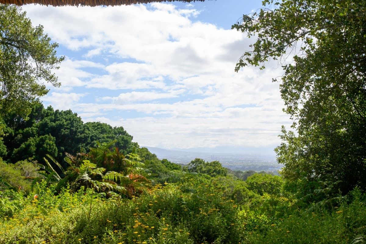 Cape Town - Image 22