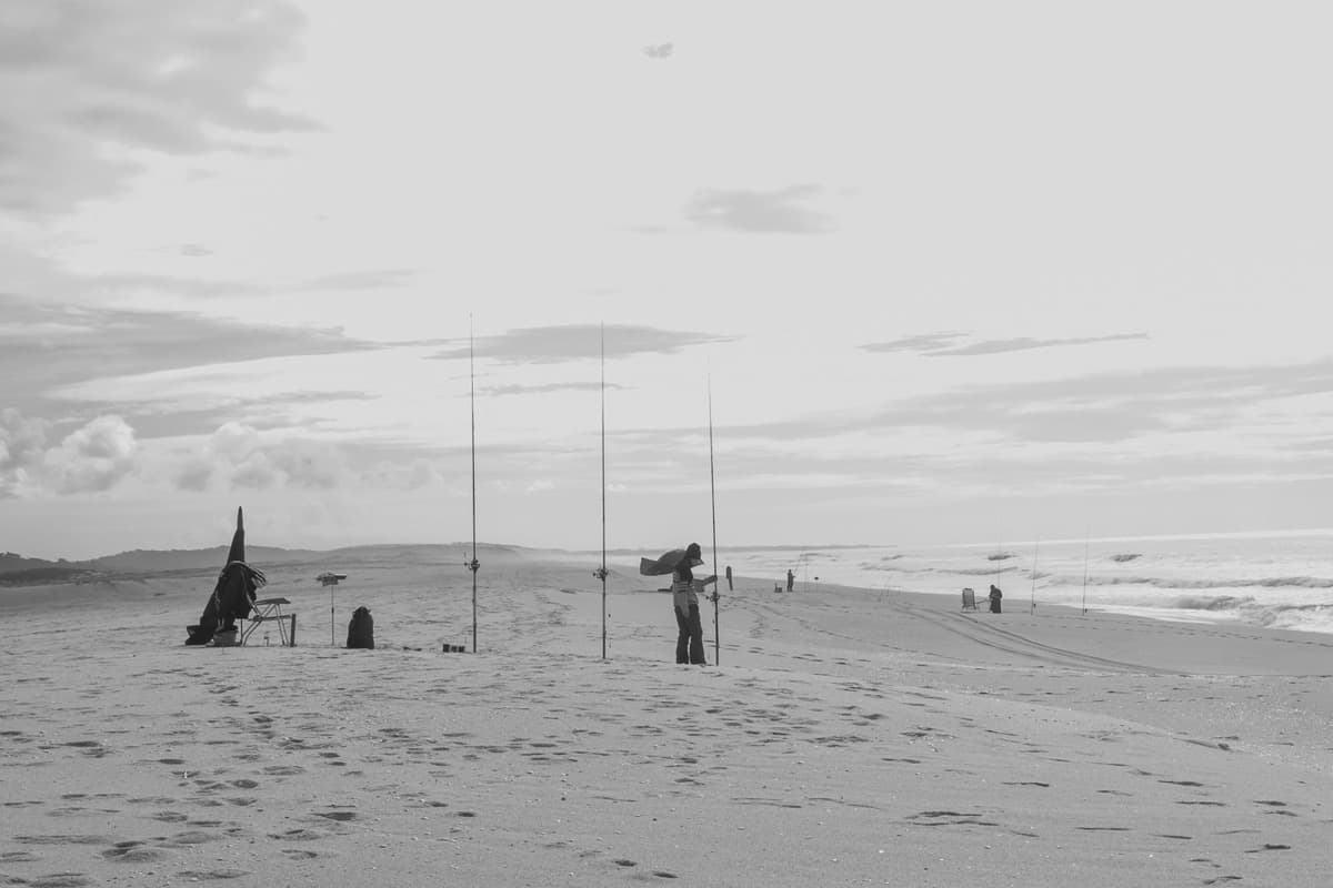 Portugal - Image 7