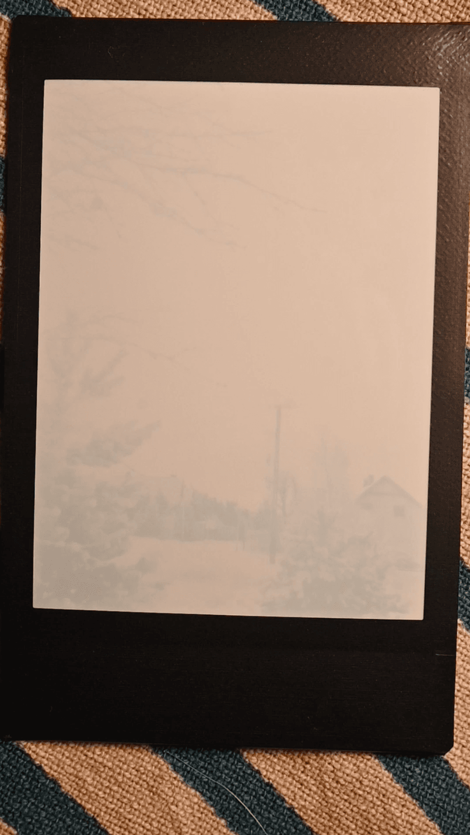 Walk in the snow