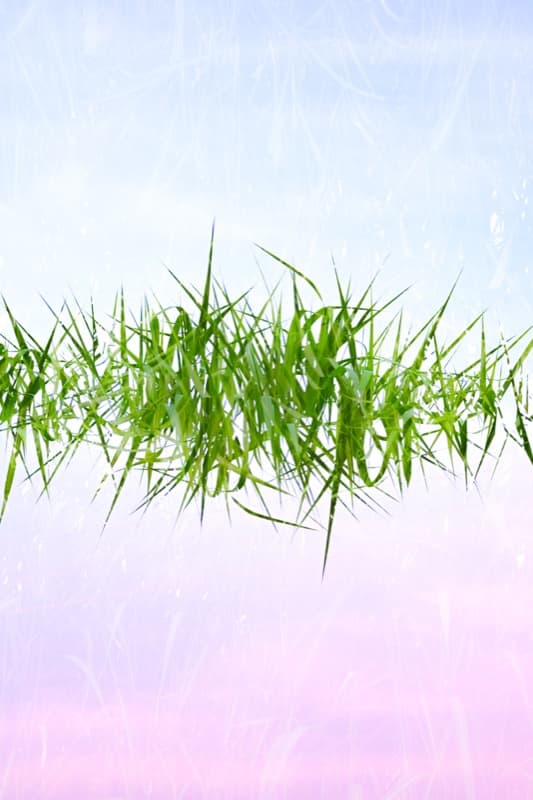 Floating Nature - Image 1