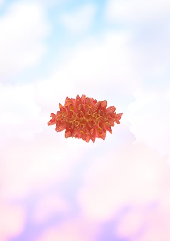 Floating Nature - Image 3