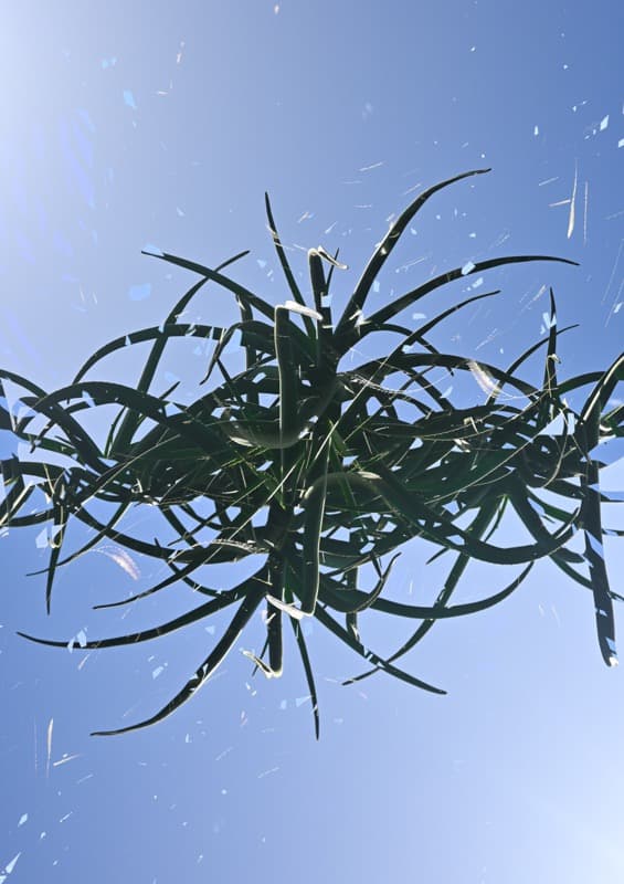 Floating Nature - Image 6