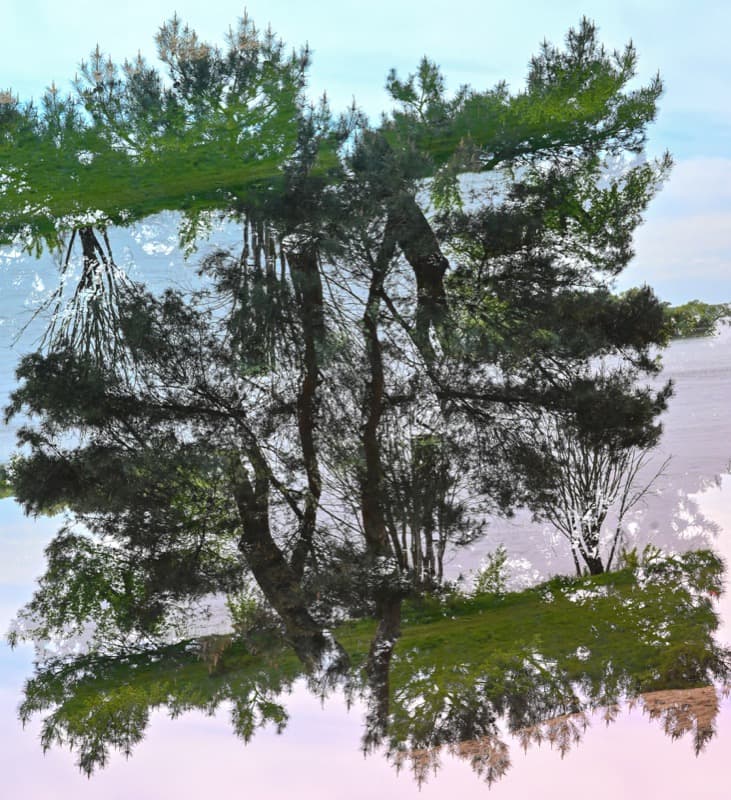 Floating Nature - Image 7