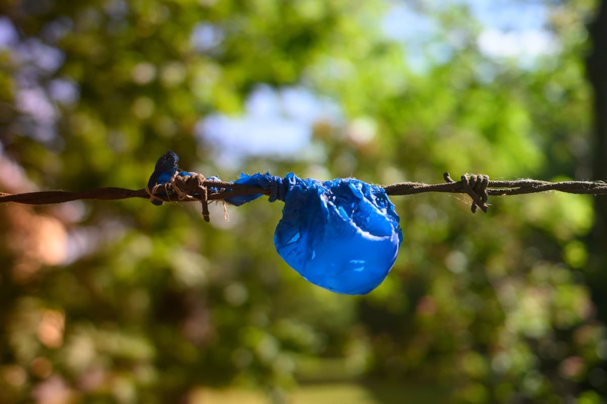 Fun Is Over series cover