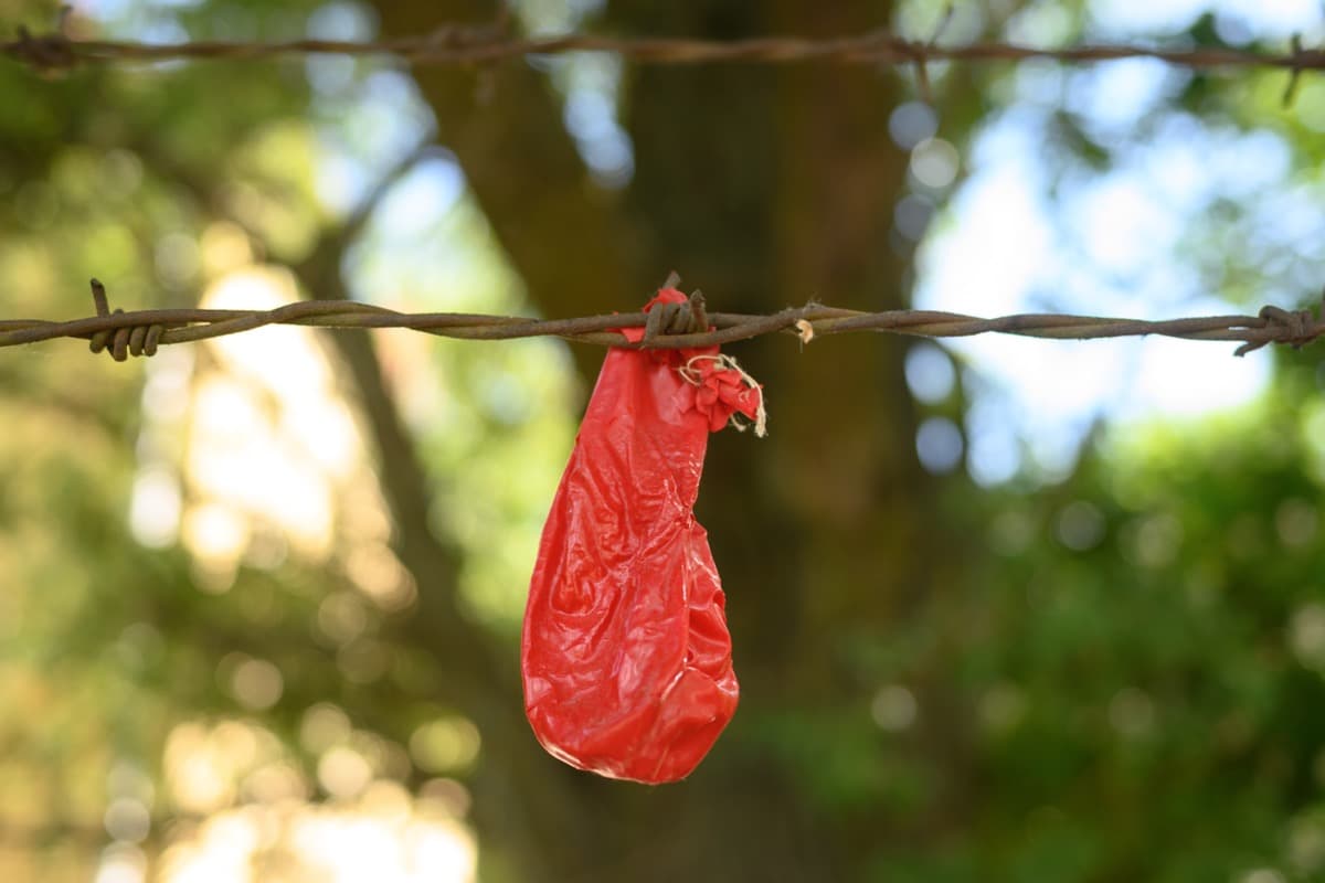 Fun Is Over - Image 2