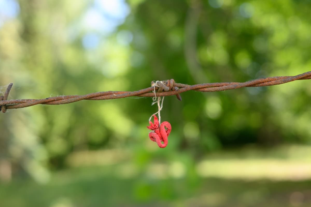 Fun Is Over - Image 4