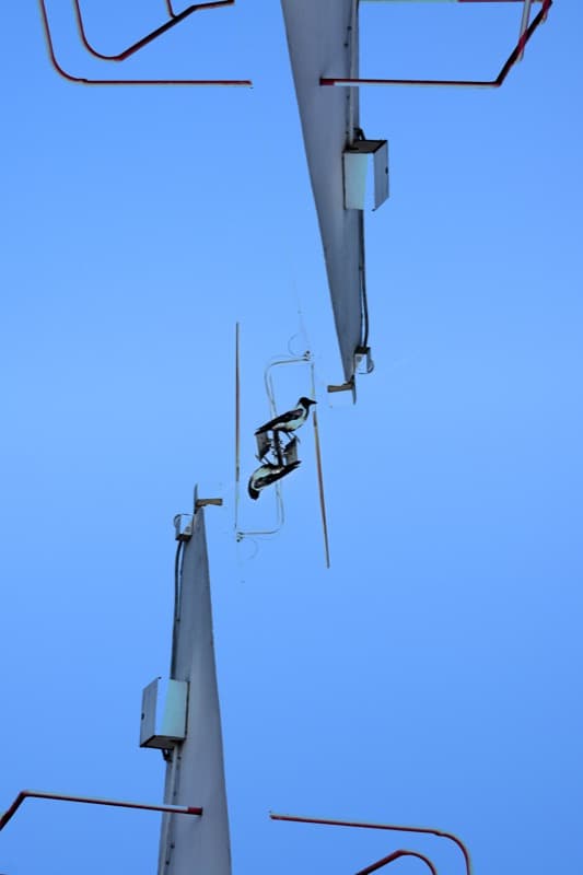Poznań - Image 4